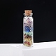 Transparent Glass Wishing Bottle Decoration(PW-WG92605-01)-4