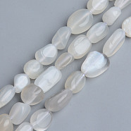 Natural Grey Moonstone Beads Strands, Tumbled Stone, Nuggets, 5~13x5~10x3~8mm, Hole: 1mm, about 40~60pcs/strand, 14.57 inch~15.74 inch(37~40cm)(G-S359-141)