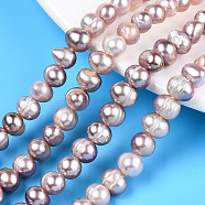 Natural Cultured Freshwater Pearl Beads Strands, Potato, Plum, 6.5~9x6.5~7.5mm, Hole: 0.6mm, about 52~54pcs/strand, 13.58~13.98 inch(34.5~35.5cm)(PEAR-N013-06T)