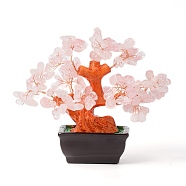 Natural Rose QuartzChips Money Tree Bonsai Display Decorations, for Home Office Decor Good Luck, 140x85x170mm(DJEW-B007-08F)