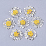 Transparent Clear Epoxy Resin Cabochons, with Dried Flower Inside, Flower, Gold, 32~35x6mm(CRES-N025-02B)
