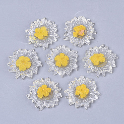 Transparent Clear Epoxy Resin Cabochons, with Dried Flower Inside, Flower, Gold, 32~35x6mm(CRES-N025-02B)