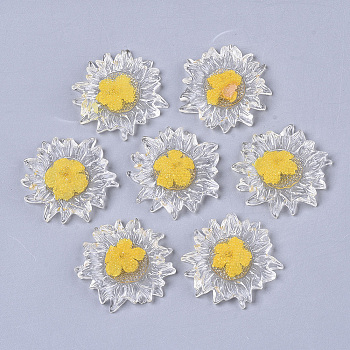 Transparent Clear Epoxy Resin Cabochons, with Dried Flower Inside, Flower, Gold, 32~35x6mm