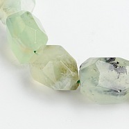 Nuggets Natural Prehnite Beads Strands, 15~22x8~17mm, Hole: 1mm, about 18~22pcs/strand, 15 inch(G-D770-08)