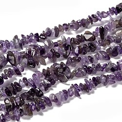 Natural Amethyst Chips, Purple,  about 5~9mm long, about 33 inch/strand(X-Z0RRN)