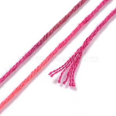 10 Skeins 6-Ply Polyester Embroidery Floss(OCOR-K006-A56)-3