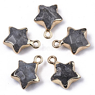 Natural Labradorite Pendants, with Light Gold Plated Edge and Brass Loop, Star, Faceted, 16~17x13x6.5mm, Hole: 1.6mm(X-G-N326-36B)