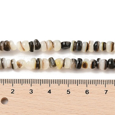 Natural Black Lip Shell Beads Strands(SHER-R100-02A)-4