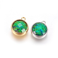 Synthetic Ammolite Charms, with Brass Findings, Faceted, Flat Round, Mixed Color, 14~15x11.5x5~6mm, Hole: 1.8mm(G-F610-13)