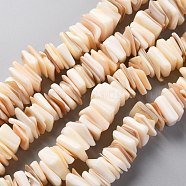 Natural Freshwater Shell Beads Strands, Square, Seashell Color, 11~16.5x10~13x1~7mm, Hole: 1.2mm, about 190pcs/strand, 14.96 inch(38cm)(SHEL-C001-10A)
