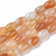 Natural Carnelian Beads Strands, Oval, 8~9x6mm, Hole: 0.8mm, about 44~45pcs/strand, 16.34 inch(41.5 cm)(G-S364-052)