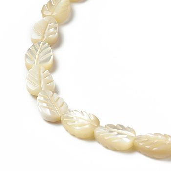 Natural Trochid Shell/Trochus Shell Beads Strands, Leaf, Beige, 8~9.5x6.5x3.2mm, Hole: 0.9mm, about 43pcs/strand, 15.94 inch(40.5cm)