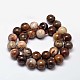 Natural Petrified Wood Round Bead Strands(X-G-F266-08-12mm)-2