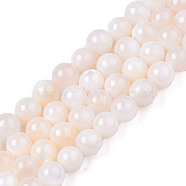 Natural Freshwater Shell Beads Strands, Dyed, Round, Lavender Blush, 2.5~3.5mm, Hole: 0.5~0.6mm, about 122~136pcs/strand, 14.57 inch~15.63 inch(37cm~39.7cm)(X-BSHE-T009A-01B)