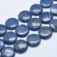 Natural Lapis Lazuli Beads Strands, Flat Round, 24~25x6~7mm, Hole: 1mm, about 16pcs/strand, 15.7 inch(40cm)(G-E446-01-24mm)