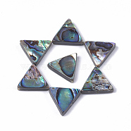 Abalone Shell/Paua Shell Beads, Triangle, 13x14.5x3.5mm, Hole: 1mm(SSHEL-T008-16)