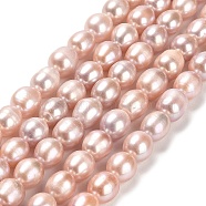 Natural Cultured Freshwater Pearl Beads Strands, Rice, Grade AA, Thistle, 9~10x10~11mm, Hole: 0.6mm, about 38pcs/strand, ,15.55''~15.75''(39.5~40cm)(PEAR-E016-101)