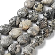 Natural Teardrop Map Stone/Picasso Stone/Picasso Jasper Beads Strands, 17.5~18x13x6mm, Hole: 1.2mm, about 22pcs/strand, 15.24 inch(38.7cm)(G-L242-17)