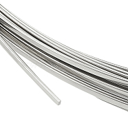304 Stainless Steel Wire, Flat, Stainless Steel Color, 2x1mm, about 22.97 Feet(7m)/Bundle(CHS-WH0008-02A)