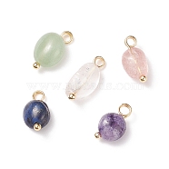 Natural Mixed Stone Charms, with Brass Loops, Nuggets, Golden, 10~16x6~8x5~7mm, Hole: 2mm(PALLOY-JF01783-01)