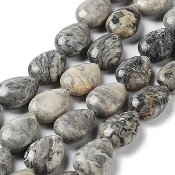 Natural Teardrop Map Stone/Picasso Stone/Picasso Jasper Beads Strands, 17.5~18x13x6mm, Hole: 1.2mm, about 22pcs/strand, 15.24 inch(38.7cm)