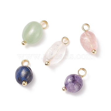 Golden Nuggets Mixed Stone Charms