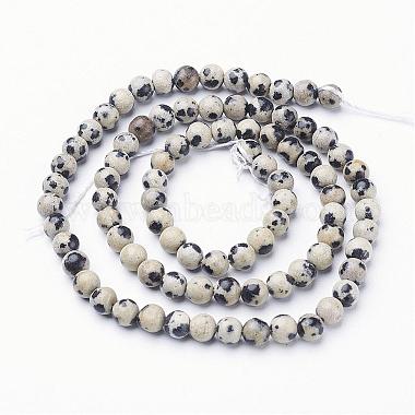 Natural Dalmatian Jasper Beads Strands(GSR4mmC004)-3