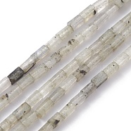 Natural Labradorite Beads Strands, Cuboid, 3.5~6x2.2x2.2mm, Hole: 0.9mm, about 79~83pcs/strand, 15.04~15.24''(38.2~38.7cm)(G-C301-03)