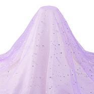 1 Bag Nylon Glitter Mesh Lace Fabric, for Kids Party Dress Decoration, Garment Making, Lilac, 150~161x0.01cm(DIY-BC0012-56A)