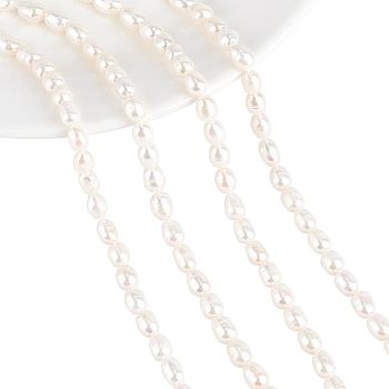 2 Strands Natural Cultured Freshwater Pearl Beads Strands, Rice, Seashell Color, 6~7x5mm, Hole: 0.7mm, about 52~54pcs/strand, 13.86 inch~14.37 inch(35.2~36.5cm)