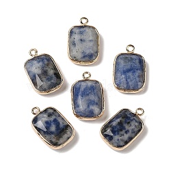 Natural Blue Spot Jasper Faceted Pendants, Golden Tone Brass Rectangle Charms, 19x11.5x4mm, Hole: 1.6mm(G-Q169-06G-02)