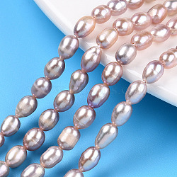 Natural Cultured Freshwater Pearl Beads Strands, Rice, Thistle, 6~7.1x4.5~5mm, Hole: 0.7~0.8mm, about 54~55pcs/strand, 13.78 inch(35cm)(PEAR-N012-04Q)