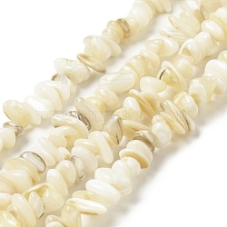 Natural Shell Beads Strands, Nuggets Chips, Lemon Chiffon, 5~13.5x5~8x1.5~6.5mm, Hole: 1mm, about 282pcs/strand, 31.30 inch(79.5cm)(BSHE-G029-01B)