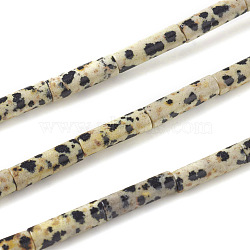 Natural Dalmatian Jasper Beads Strands, Column, 13~14x4mm, Hole: 1mm, about 30pcs/strand, 15.9 inch(40.5cm)(X-G-F247-21)