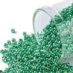 TOHO 11/0 Round Beads, Japanese Seed Beads, (561) Galvanized Southwest Green, 2.2mm, Hole: 0.8mm, about 50000pcs/pound(SEED-TR11-0561)
