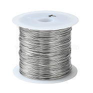 Non-Tarnish 316 Stainless Steel Wire, for Jewelry Making, Stainless Steel Color, 24 Gauge, 0.5mm, about 75.45 Feet(23m)/roll(TWIR-L004-01C-P)