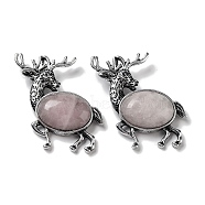 Alloy Elk Brooches, with Natural Rose Quartz, Antique Silver, 49.5x49x14mm(JEWB-A021-02AS-05)