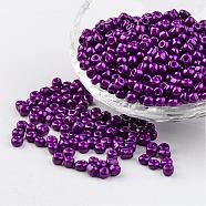 6/0 Baking Paint Glass Seed Beads, Medium Orchid, 4~5x3~4mm, Hole: 1~2mm, about 427pcs/50g(X-SEED-S003-K13)