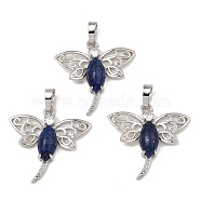 Rack Plating Brass Pendants, with Natural Lapis Lazuli, Dragonfly Charms, Platinum, 30x30.5x6mm, Hole: 8x5mm(G-Z033-09P-04)