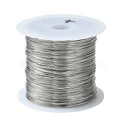 Non-Tarnish 316 Stainless Steel Wire, for Jewelry Making, Stainless Steel Color, 24 Gauge, 0.5mm, about 75.45 Feet(23m)/roll(TWIR-L004-01C-P)