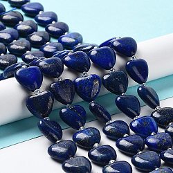 Natural Lapis Lazuli Beads Strands, with Seed Beads, Dyed, Heart, 14~15x15x6~6.5mm, Hole: 1.4mm, about 23~24pcs/strand, 14.57''(37cm)(G-E614-A05-01)