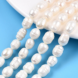 Natural Cultured Freshwater Pearl Beads Strands, Baroque Keshi Pearl Rice Beads, Seashell Color, 8~14x7.8~8.5mm, Hole: 0.7~0.8mm, about 31~32pcs/strand, 12.80 inch(32.5cm)(PEAR-N012-08K)