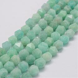Natural Amazonite Bead Strands, Star Cut Round Beads, Faceted, 11.5~12x10x10mm, Hole: 1mm, about 35pcs/strand, 15.1 inch(38.5cm)(G-G970-10-12mm)