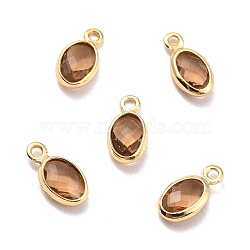 Eco-Friendly Brass with Glass Pendants,  Long-Lasting Plated, Lead Free & Cadmium Free & Nickel Free, Oval, Real 18K Gold Plated, Camel, 9x4.5x2mm, Hole: 1.2mm(KK-K268-01P)