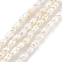 Natural Keshi Pearl Cultured Freshwater Pearl Beads Strands, Baroque Pearls, Grade 3A, Rice, Snow, 2~2.5mm, Hole: 3mm, about 55pcs/strand, 7.09''(18cm)(PEAR-P062-21)