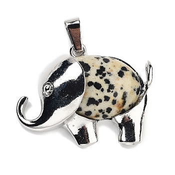Natural Dalmatian Jasper Pendants, Elephant Charms with Alloy Findings, Platinum, 29x37~37.5x9.5~10mm, Hole: 3x9mm