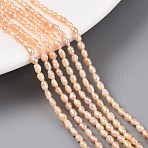 Natural Cultured Freshwater Pearl Beads Strands, Rice, PeachPuff, 2.5~4.5x1.5~2.5mm, Hole: 0.5mm, about 79~81pcs/strand, 13.78 inch(35cm)(PEAR-N012-02H-01)