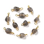 Natural Labradorite Links Connectors, with Golden Copper Wire, Cadmium Free & Lead Free, Chip, 13~19x3.5~8mm, Hole: 1.5mm(G-K316-02C-G-RS)
