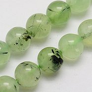Natural Prehnite Beads Strands, Round, Pale Green, 10mm, Hole: 1mm(X-G-G457-10mm-03)