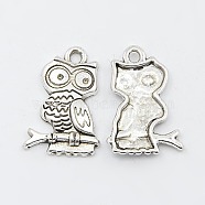 Tibetan Style Alloy Pendants, Lead Free and Cadmium Free, Owl, Halloween Jewelry, Antique Silver, 22x15x3mm, Hole: 2mm(PALLOY-K1027-AS-RS)
